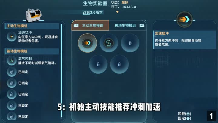 초기 스킬 선택 추천